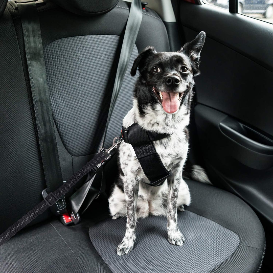 CozyRider™ Dog Seatbelt