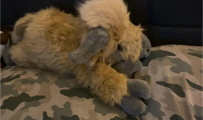 Review image from James Bennett