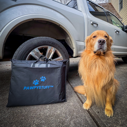 CozyRider™  Carry Case